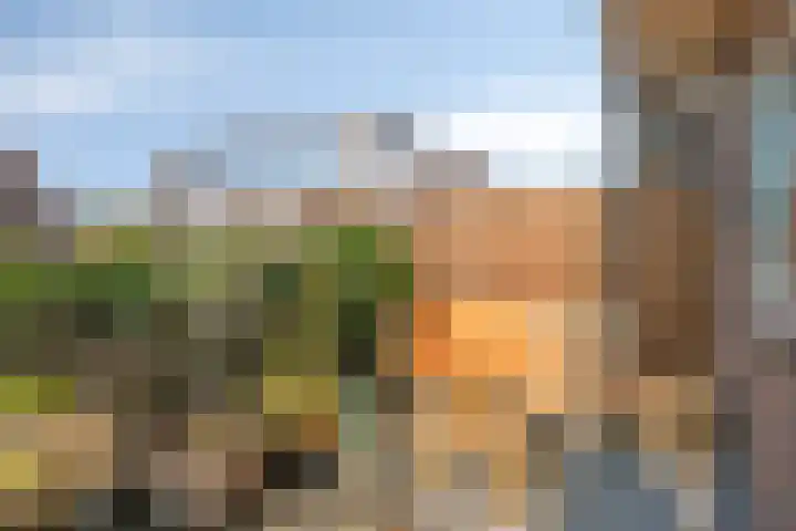 Esdoornstraat 15 's-Hertogenbosch thumbnail 21