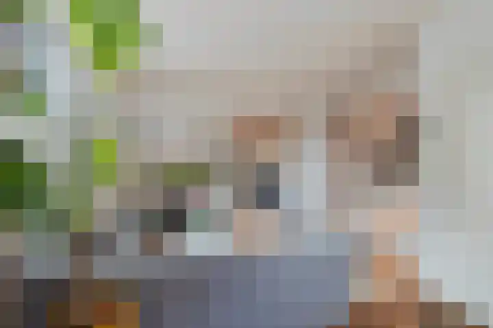 Esdoornstraat 15 's-Hertogenbosch thumbnail 6