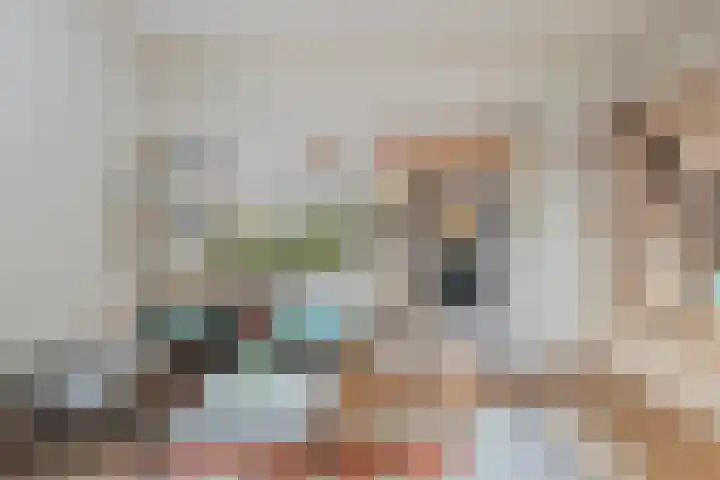 Esdoornstraat 15 's-Hertogenbosch thumbnail 7