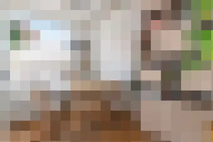 Esdoornstraat 15 's-Hertogenbosch thumbnail 8