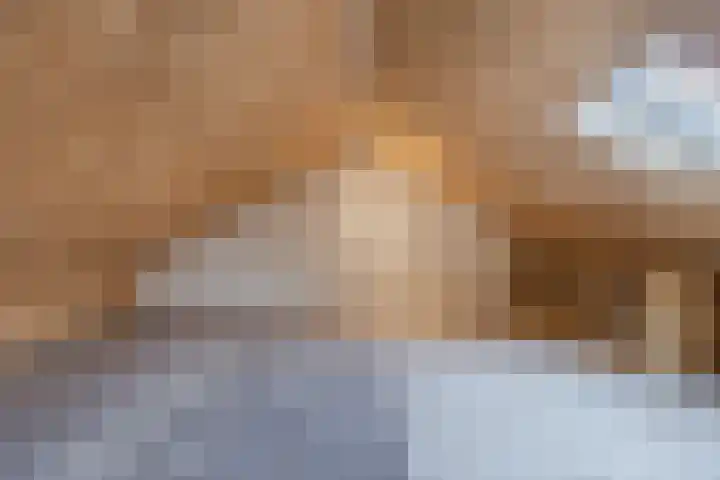 Esdoornstraat 15 Steenbergen thumbnail 33