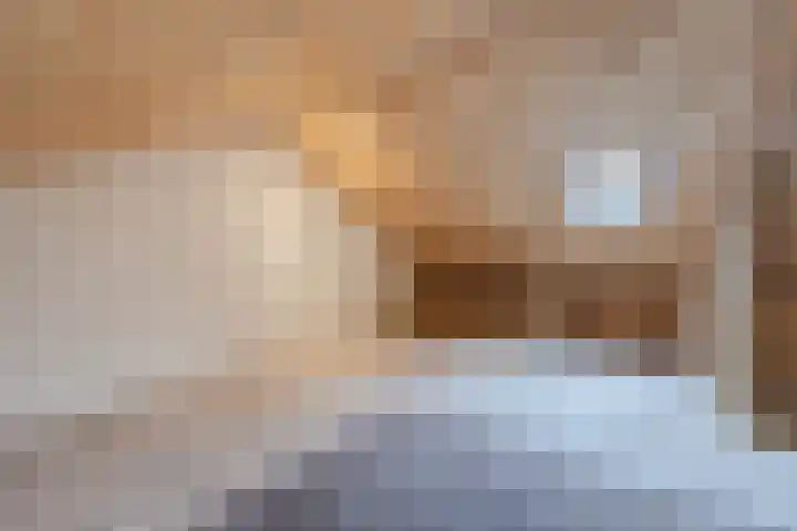 Esdoornstraat 15 Steenbergen thumbnail 34