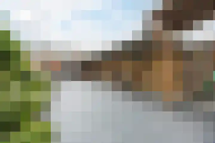 Esdoornstraat 15 Steenbergen thumbnail 36