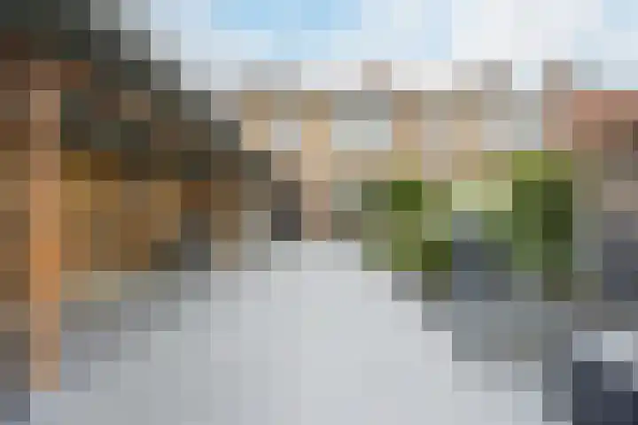 Esdoornstraat 15 Steenbergen thumbnail 38