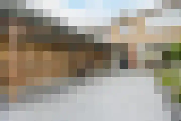 Esdoornstraat 15 Steenbergen thumbnail 39