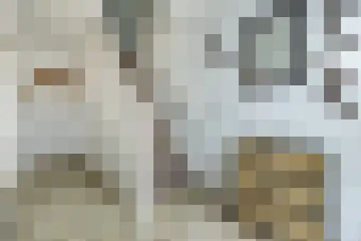 Esdoornstraat 15 Steenbergen thumbnail 5