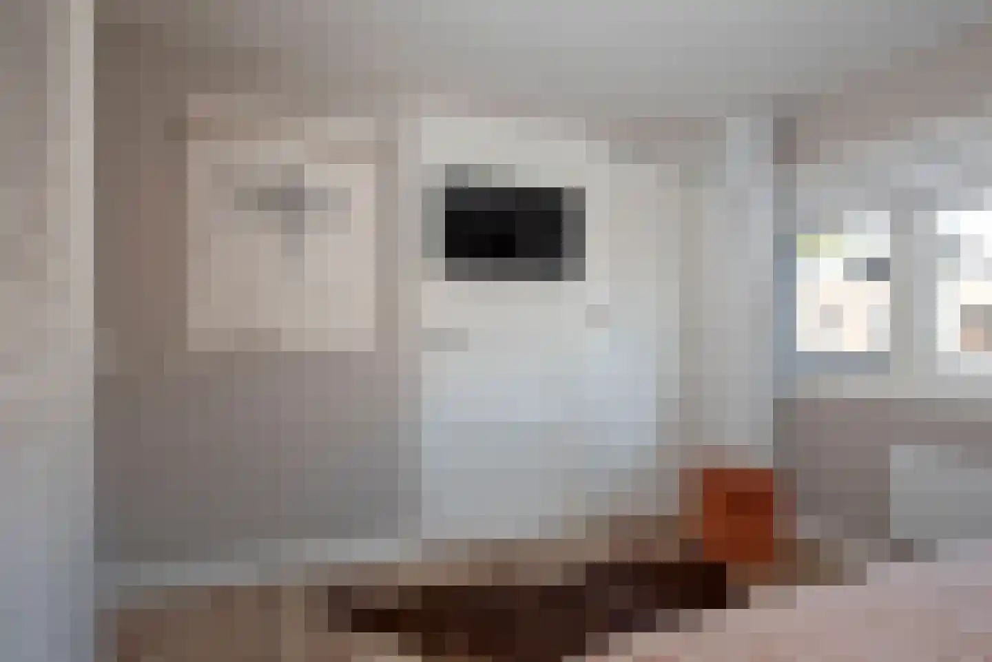 Esdoornstraat 16 Hengelo thumbnail 28