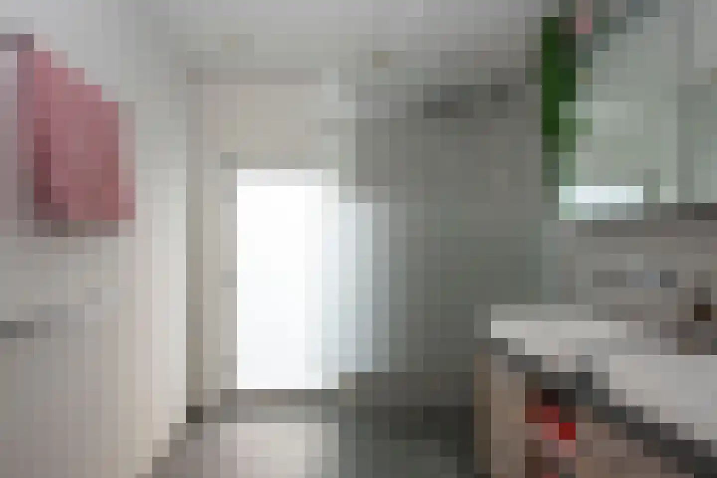 Esdoornstraat 16 Hengelo thumbnail 30