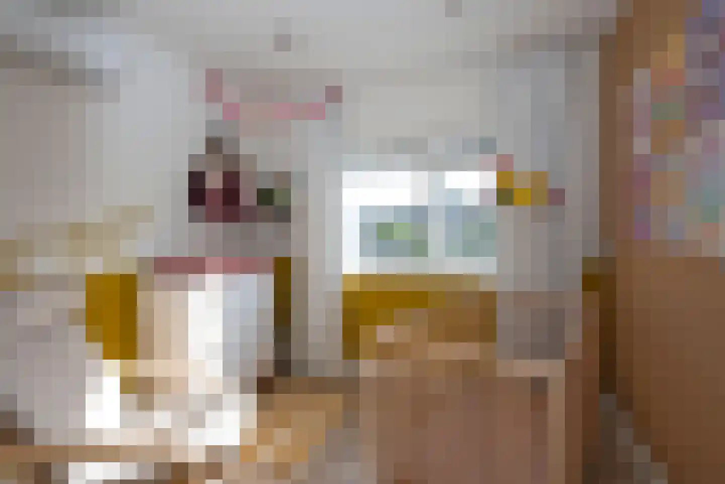 Esdoornstraat 16 Hengelo thumbnail 33
