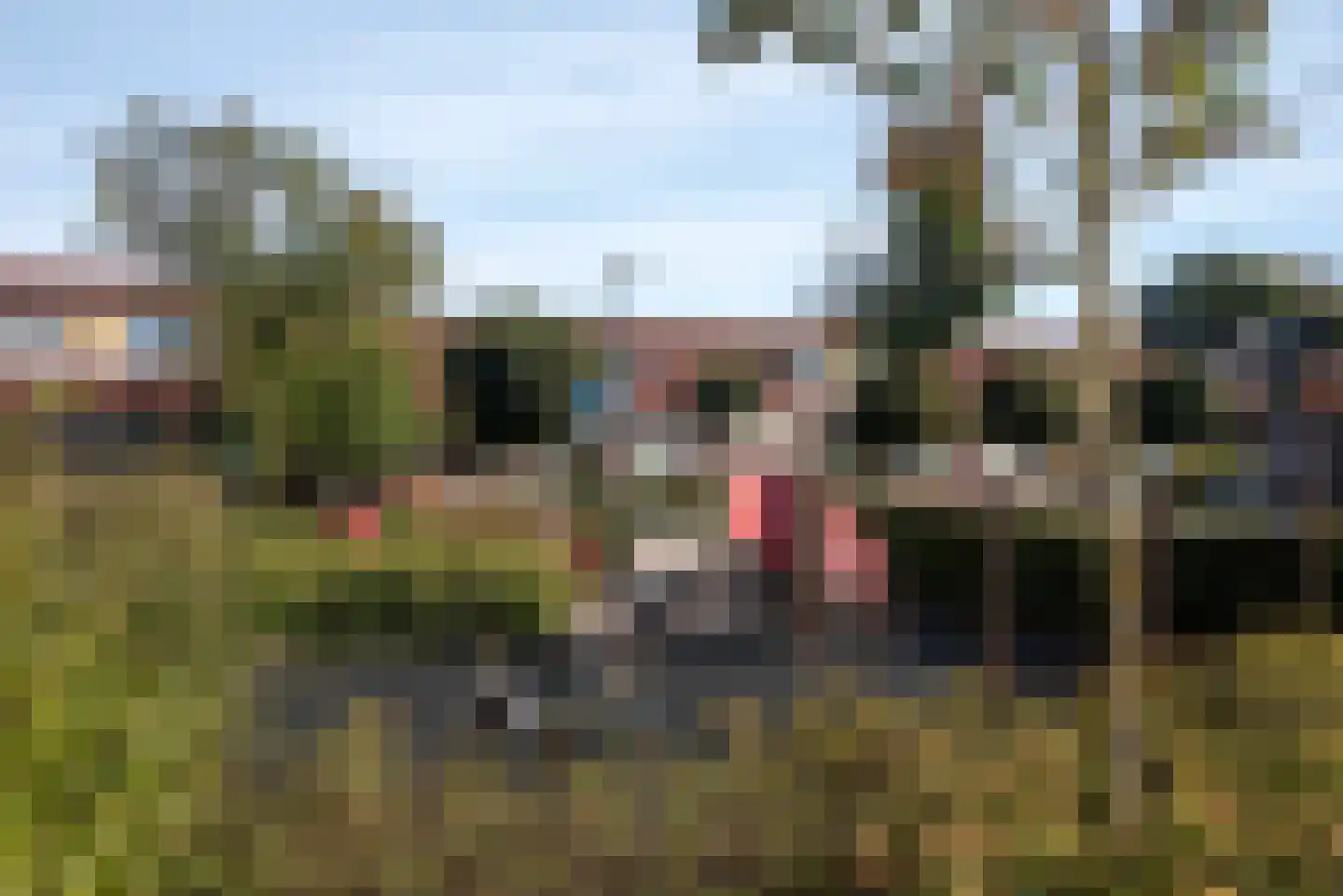 Esdoornstraat 16 Hengelo thumbnail 48