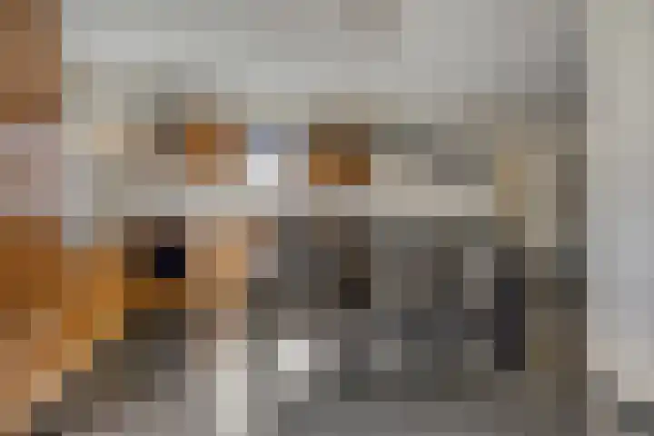 Esdoornstraat 16 Lutten thumbnail 10