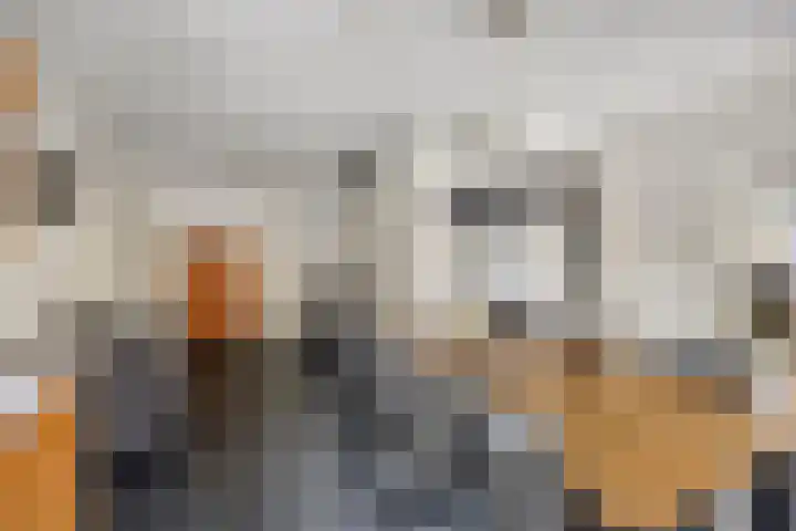 Esdoornstraat 16 Lutten thumbnail 11
