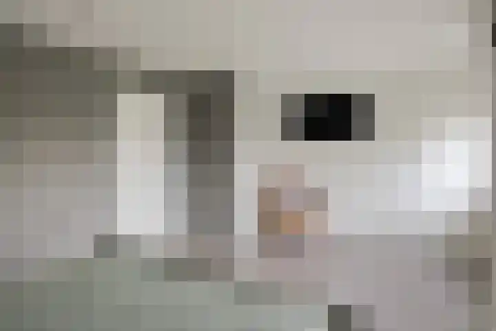 Esdoornstraat 16 Lutten thumbnail 17