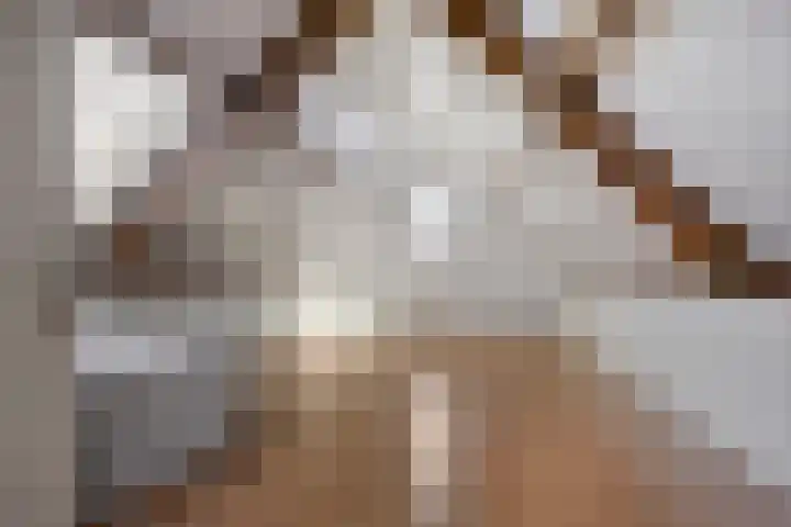 Esdoornstraat 16 Lutten thumbnail 24