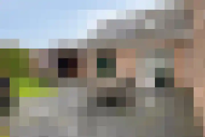 Esdoornstraat 16 Lutten thumbnail 28