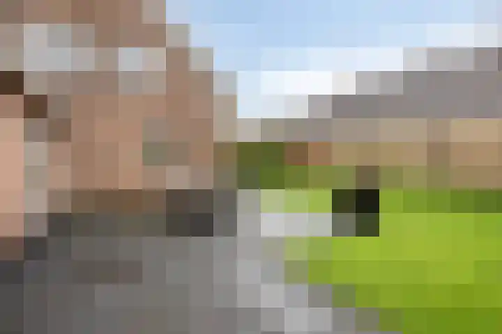 Esdoornstraat 16 Lutten thumbnail 31