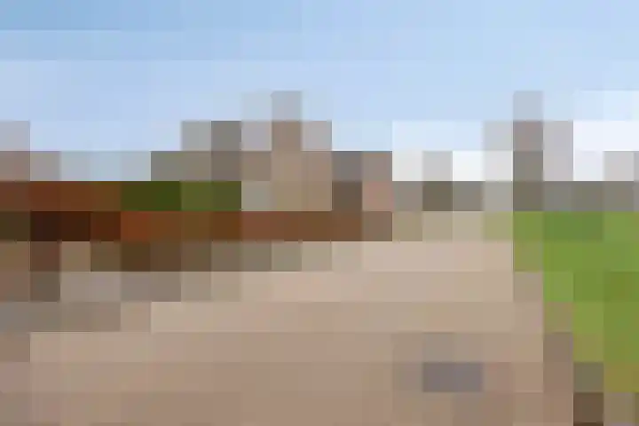 Esdoornstraat 16 Lutten thumbnail 35
