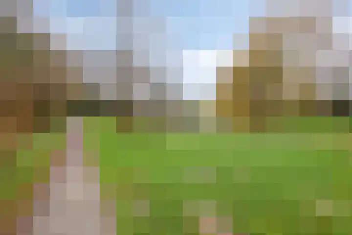 Esdoornstraat 16 Lutten thumbnail 36