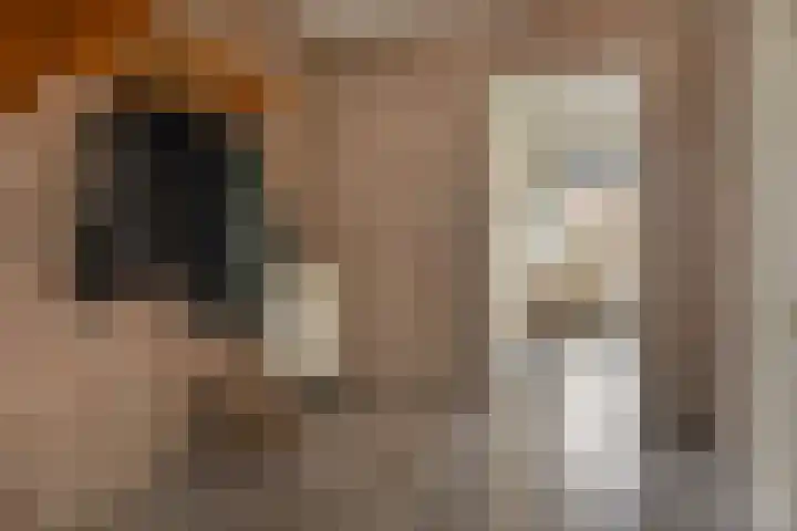 Esdoornstraat 16 Lutten thumbnail 5