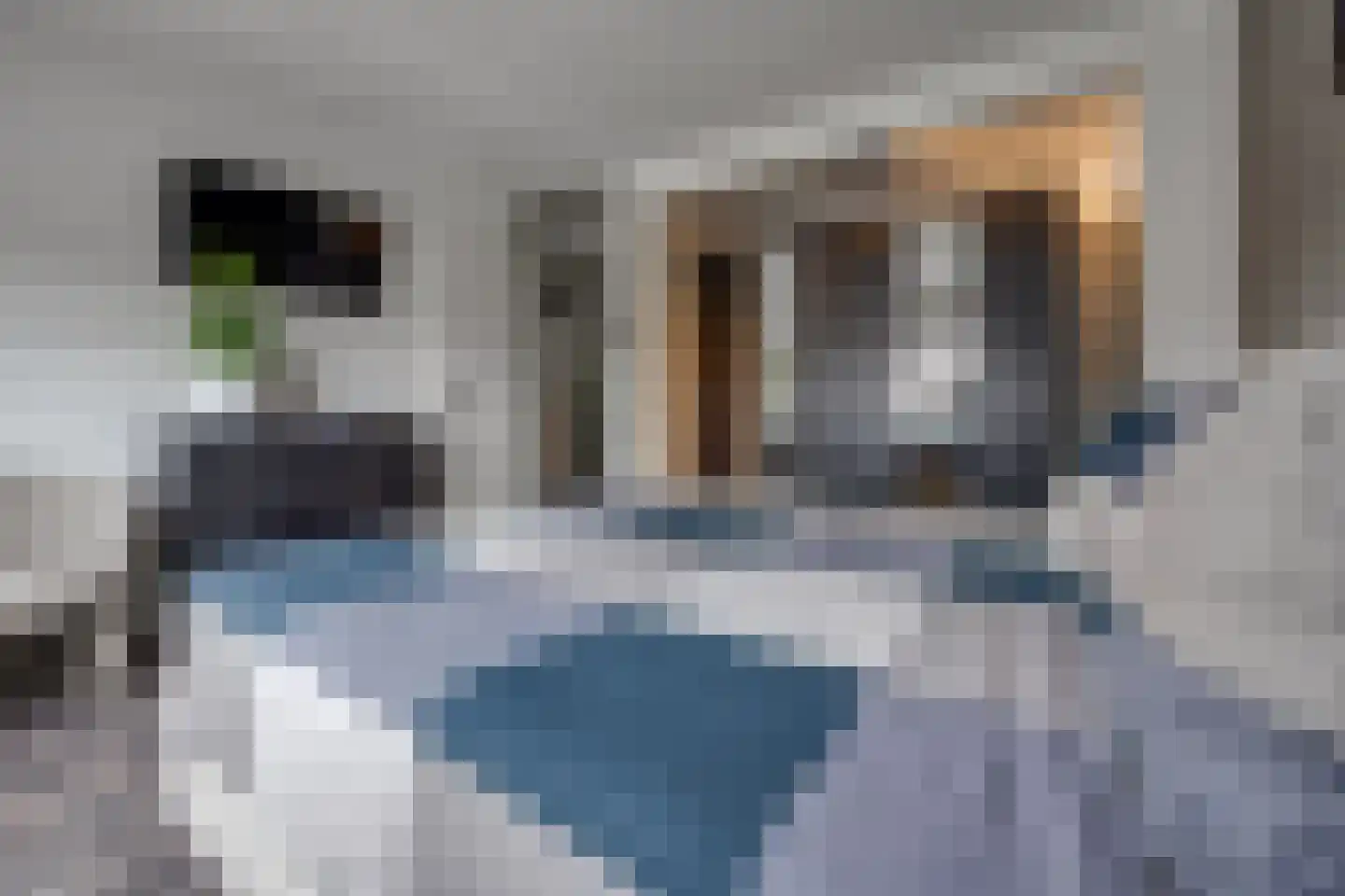 Esdoornstraat 16 Stadskanaal thumbnail 31