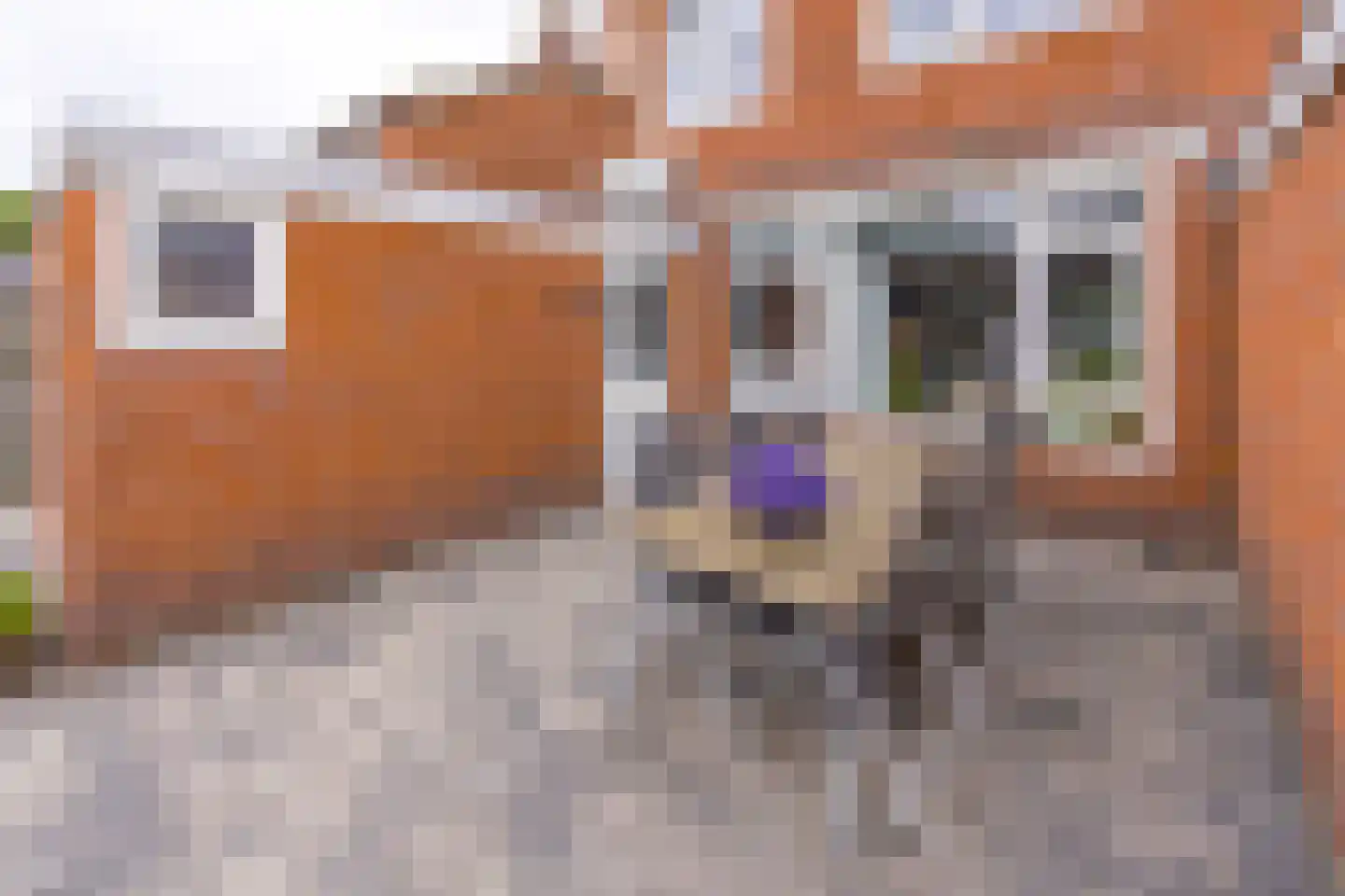 Esdoornstraat 16 Stadskanaal thumbnail 38