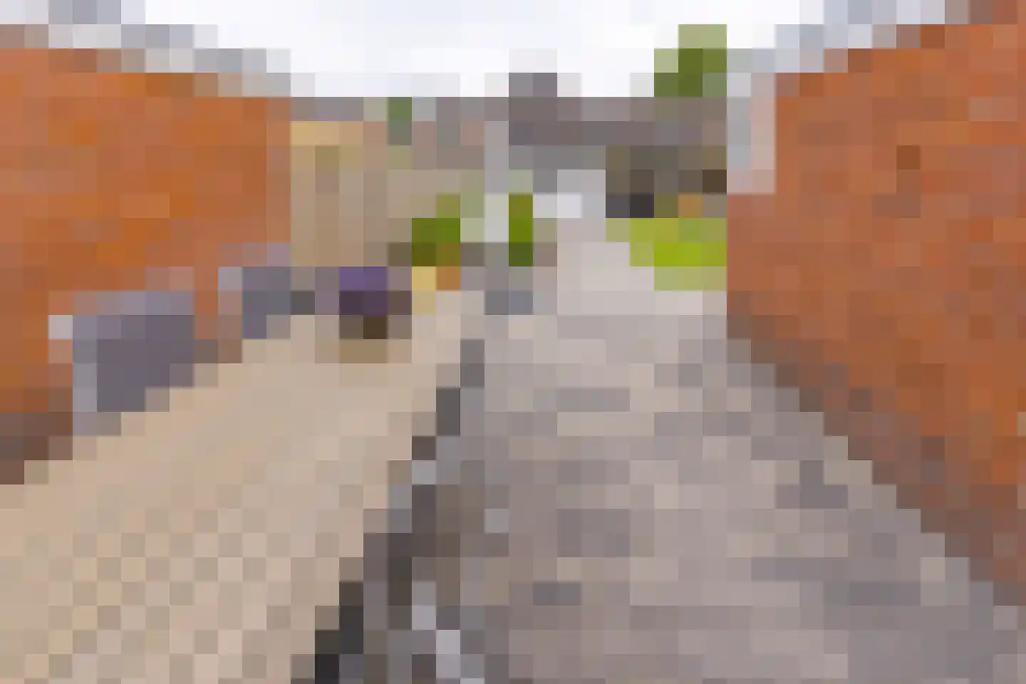 Esdoornstraat 16 Stadskanaal thumbnail 39
