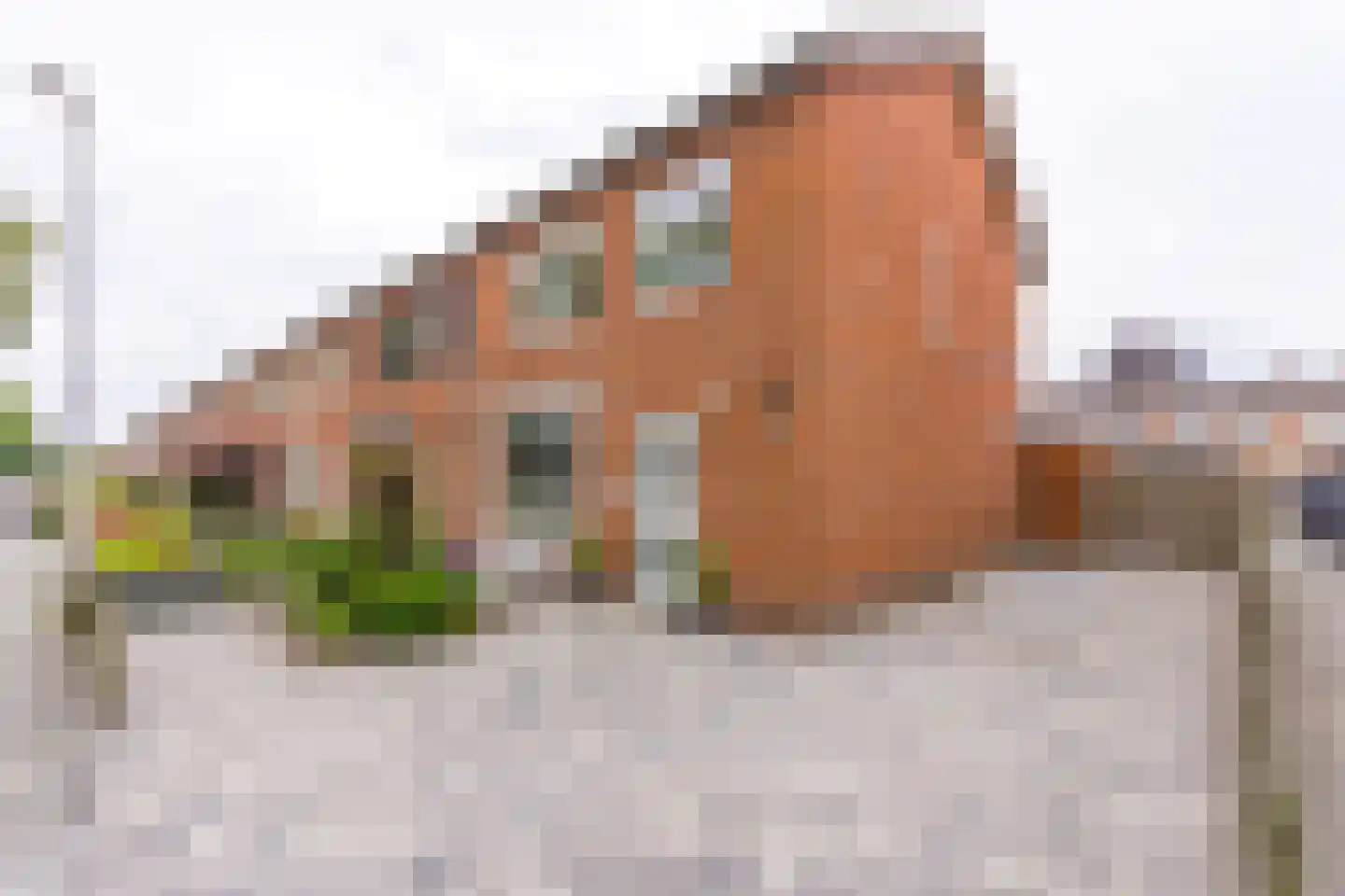 Esdoornstraat 16 Stadskanaal thumbnail 8