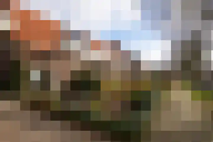 Esdoornstraat 17 Geleen thumbnail 26