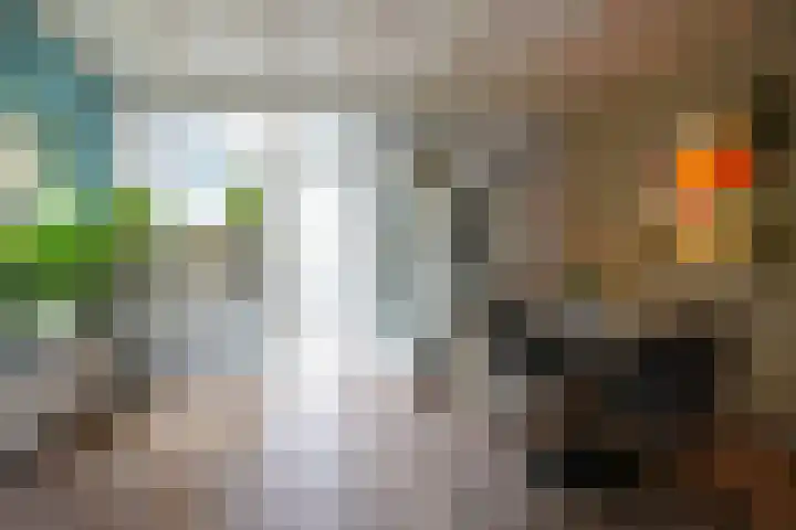 Esdoornstraat 17 Geleen thumbnail 6