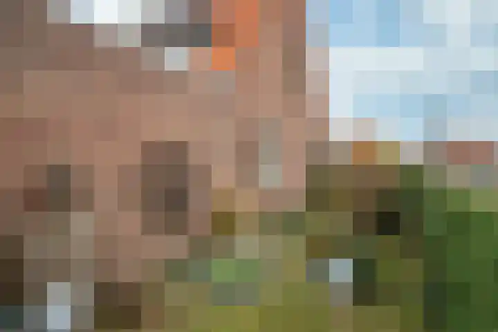 Esdoornstraat 17 Landgraaf thumbnail 14