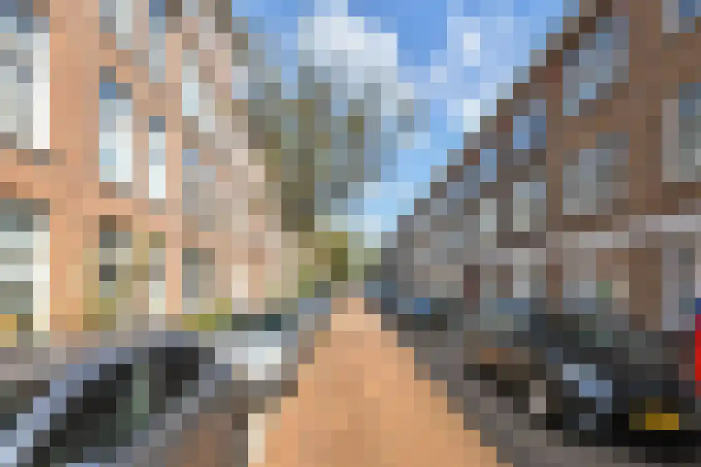 Esdoornstraat 174 Den Haag thumbnail 35