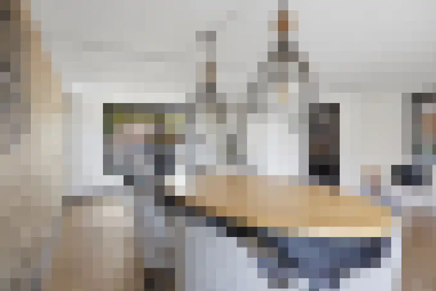Esdoornstraat 18 Drunen thumbnail 13