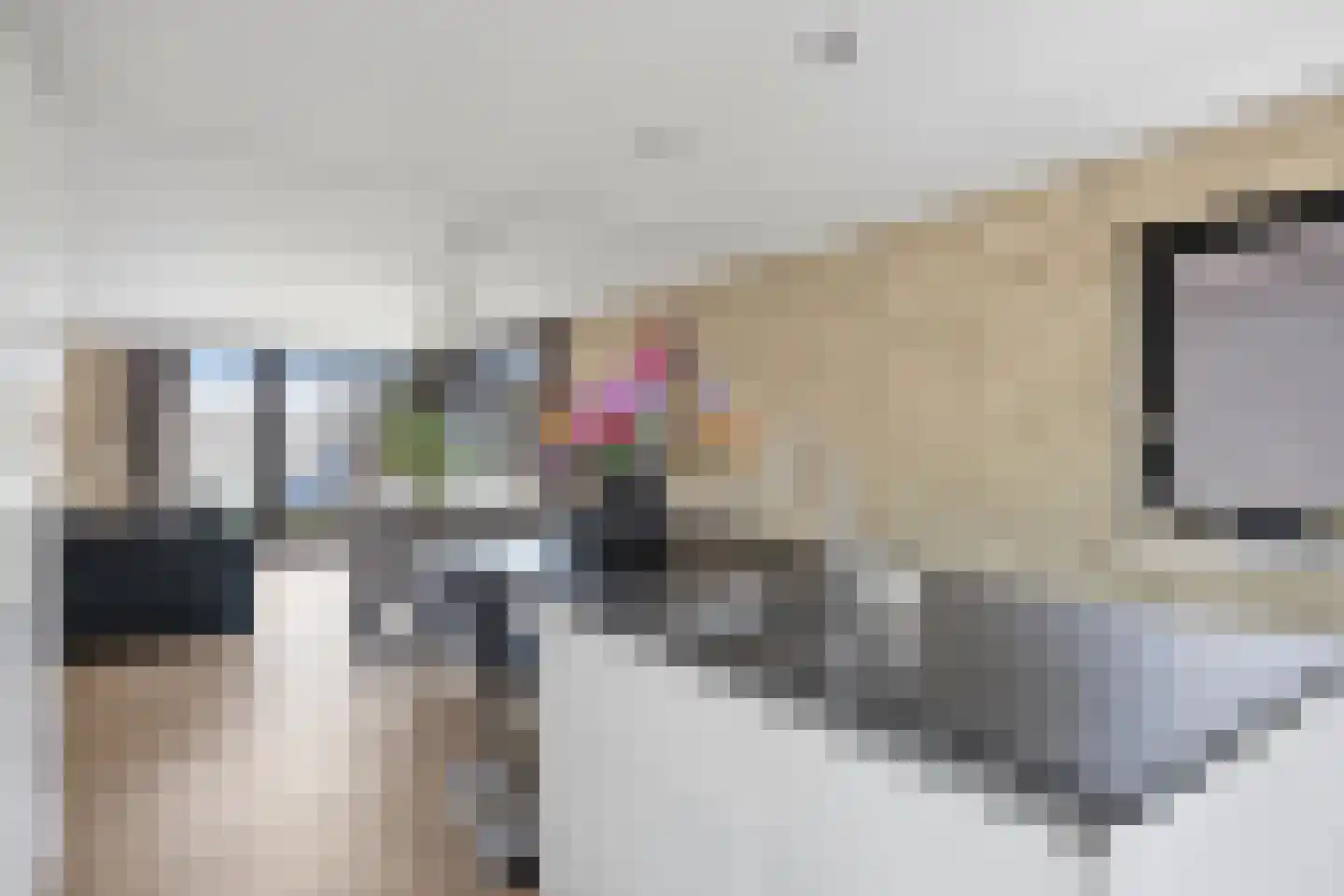 Esdoornstraat 18 Drunen thumbnail 19