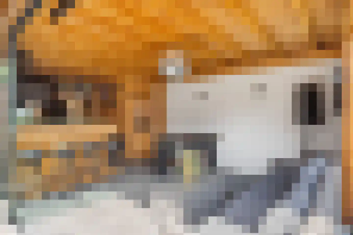 Esdoornstraat 18 Drunen thumbnail 23