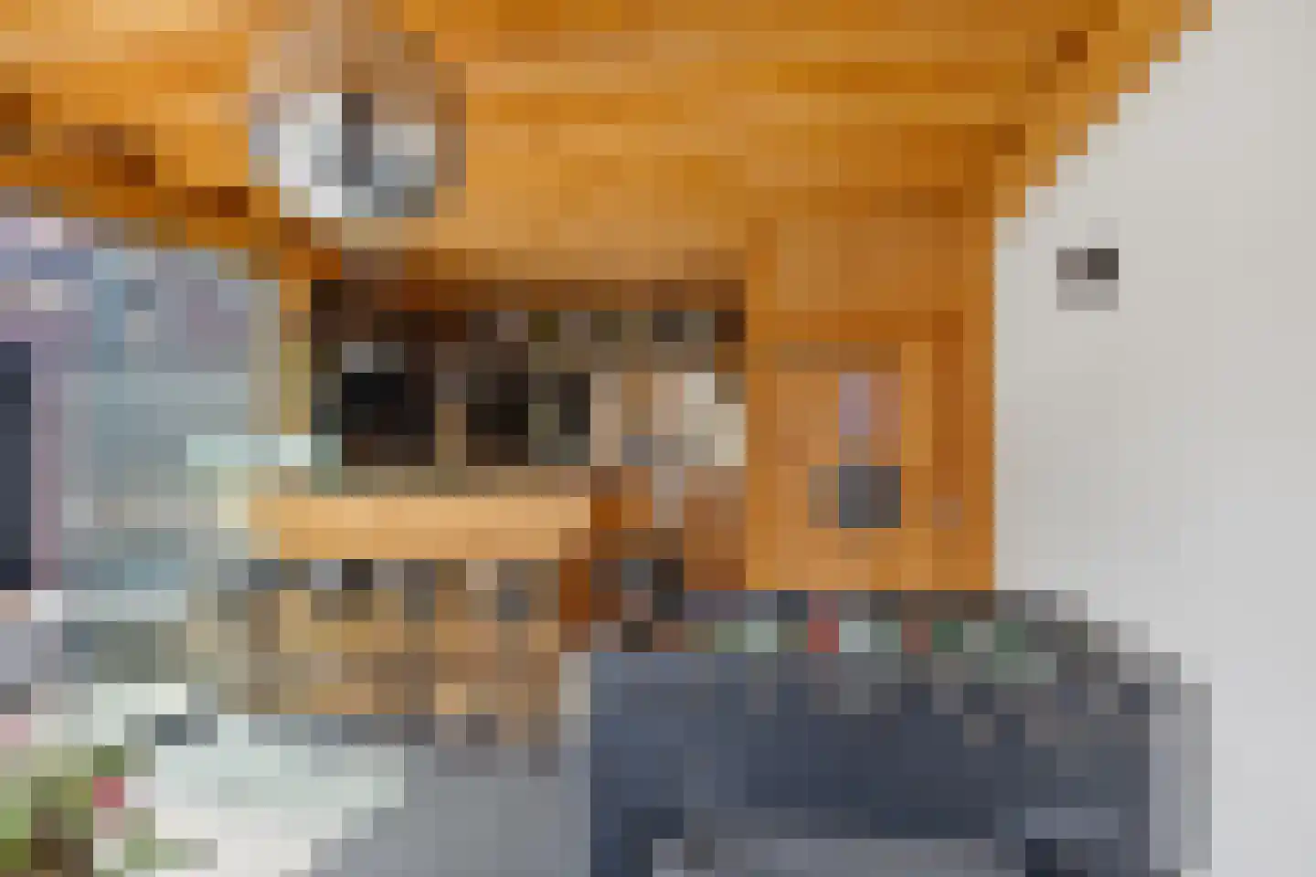 Esdoornstraat 18 Drunen thumbnail 25
