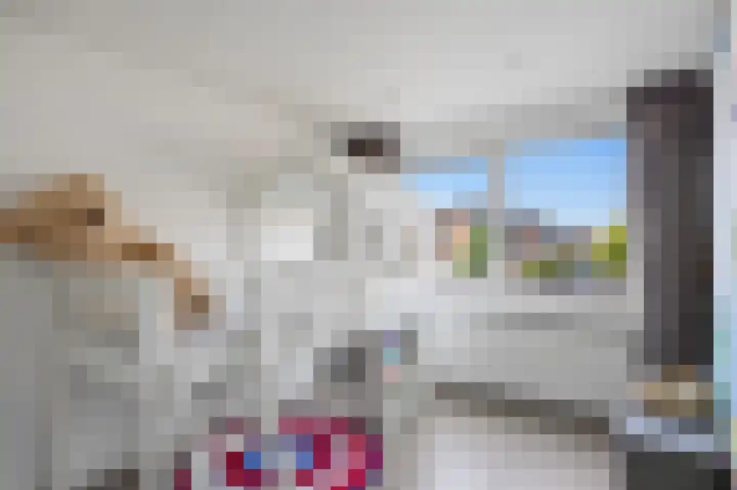 Esdoornstraat 18 Drunen thumbnail 38