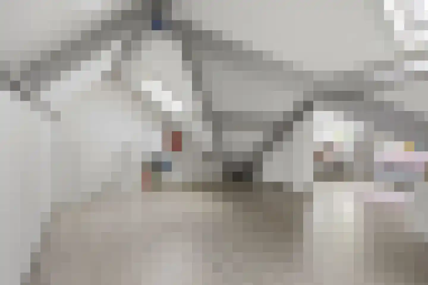Esdoornstraat 18 Drunen thumbnail 42
