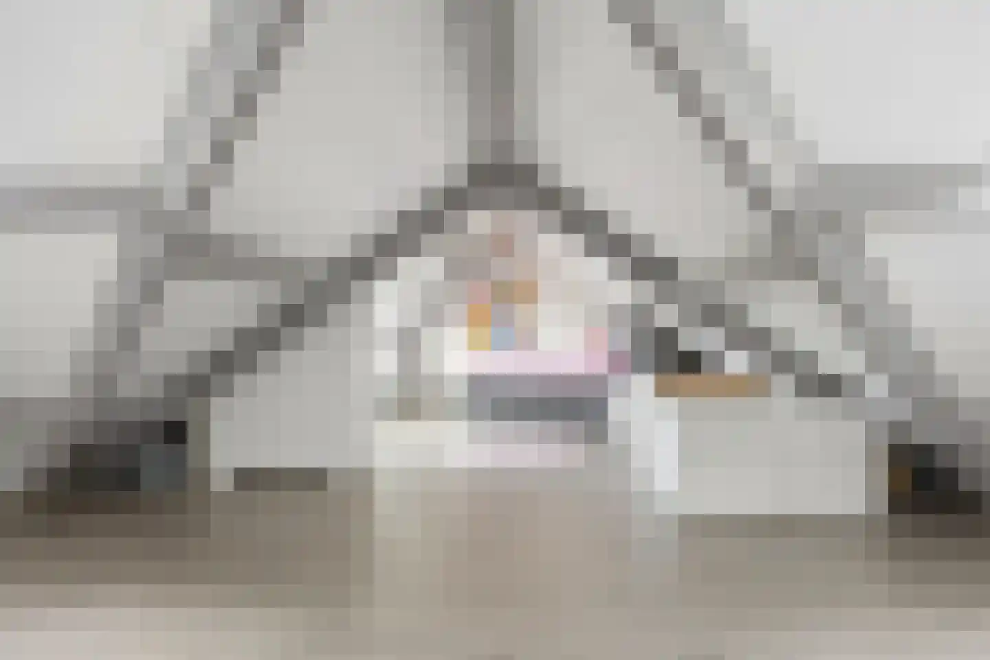 Esdoornstraat 18 Drunen thumbnail 43