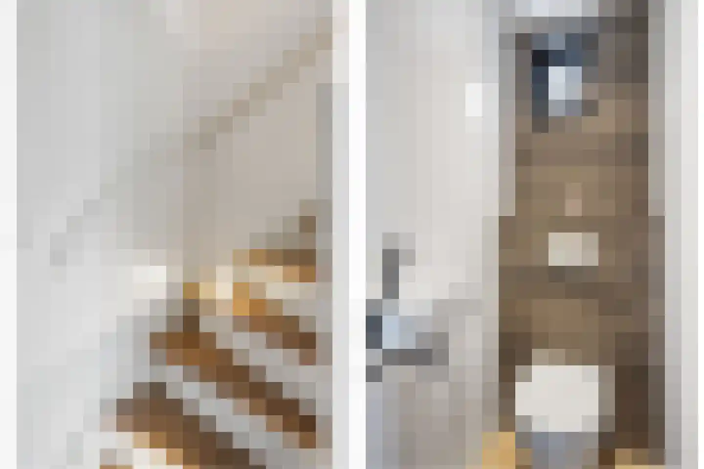 Esdoornstraat 18 Drunen thumbnail 8