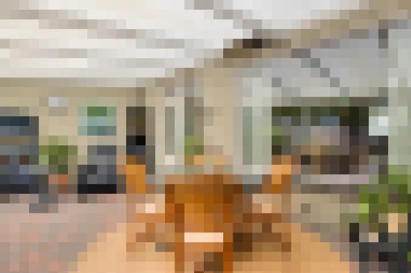 Esdoornstraat 18 Nederweert thumbnail 14