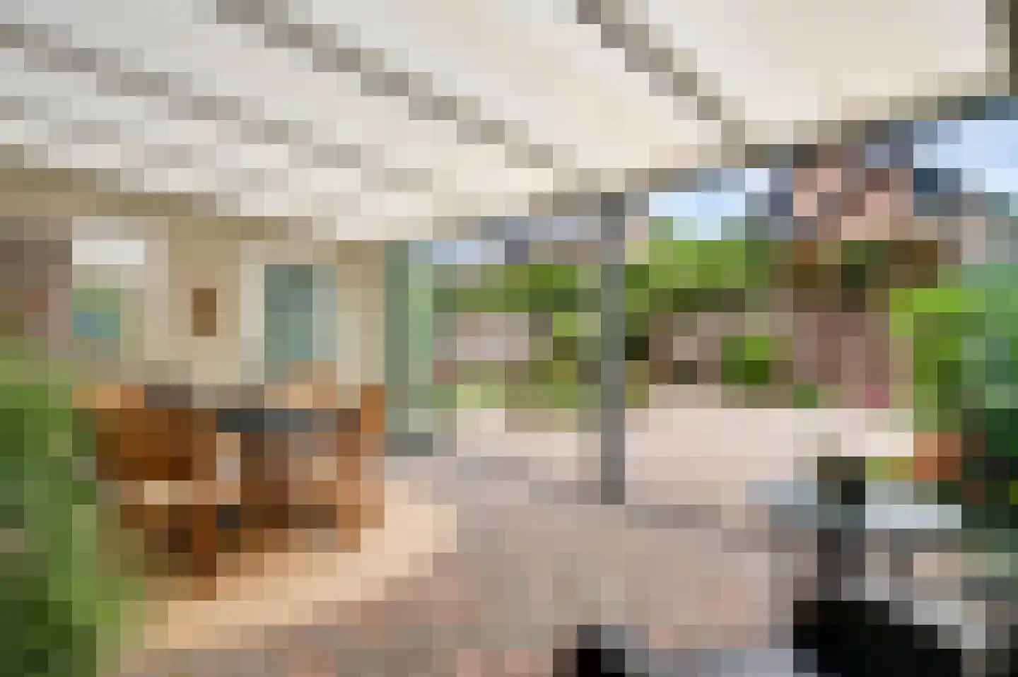 Esdoornstraat 18 Nederweert thumbnail 15