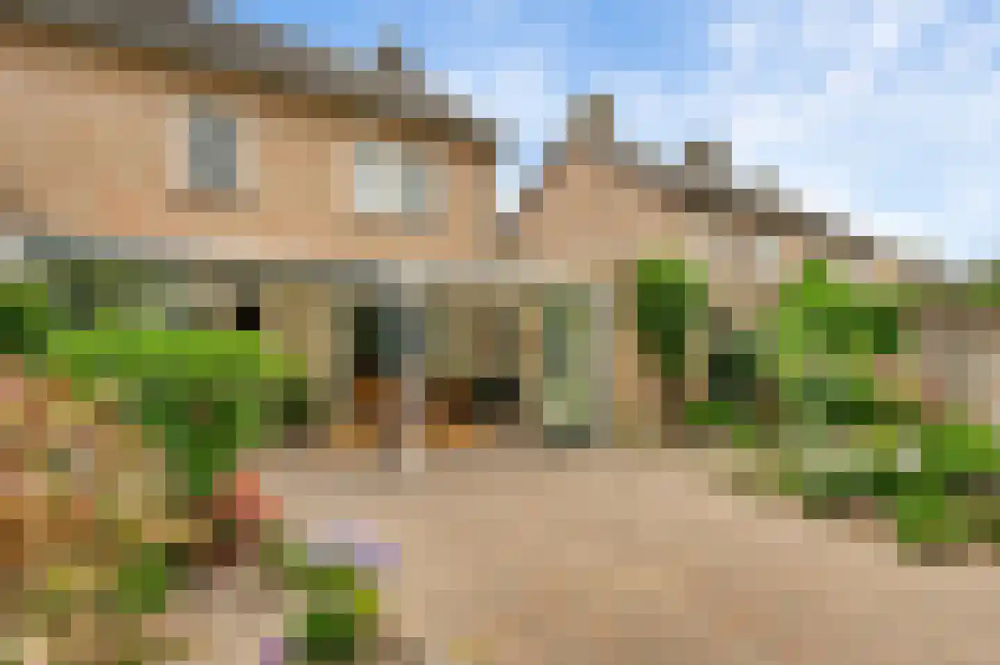 Esdoornstraat 18 Nederweert thumbnail 19