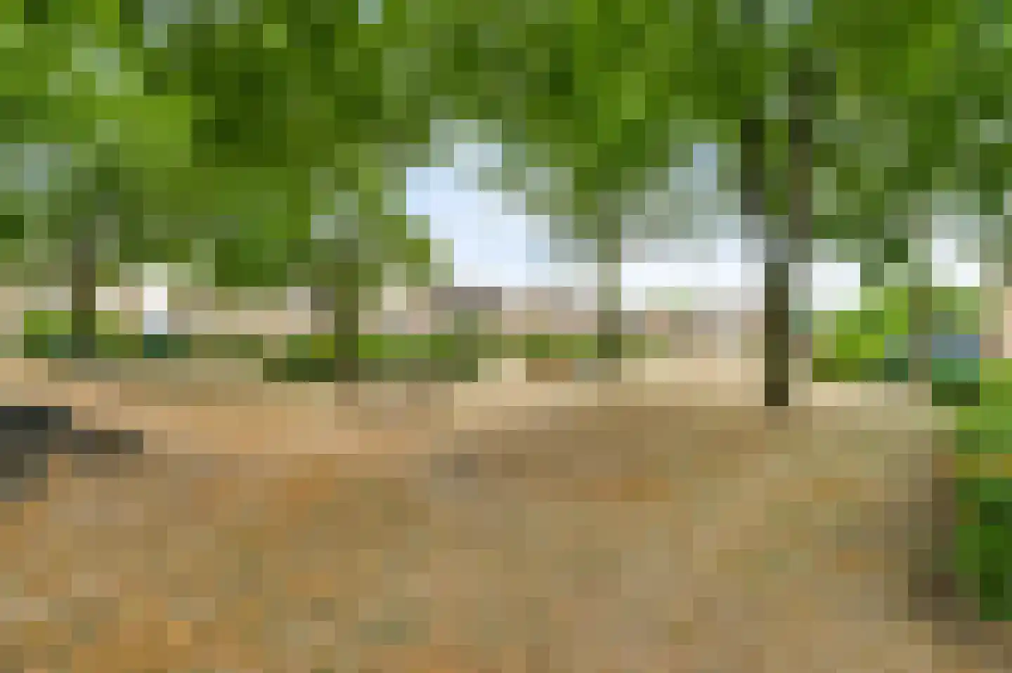 Esdoornstraat 18 Nederweert thumbnail 32