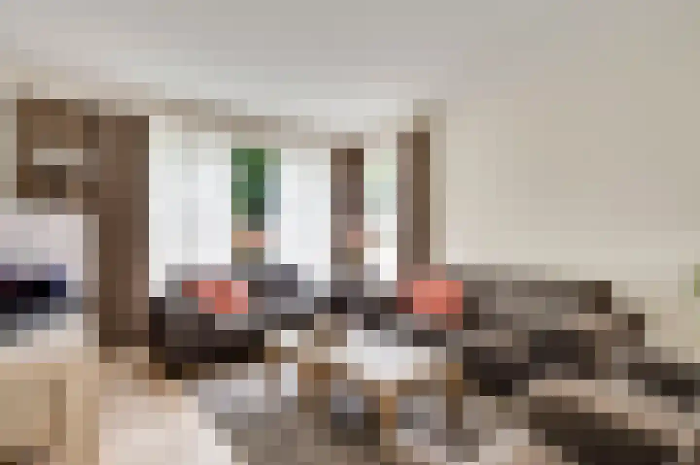 Esdoornstraat 18 Nederweert thumbnail 5