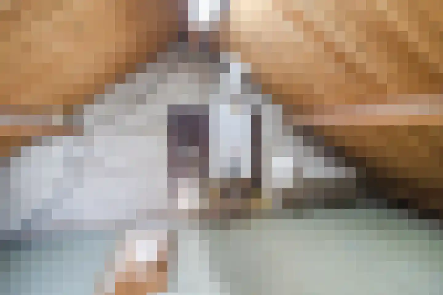Esdoornstraat 18 Oud-Beijerland thumbnail 22