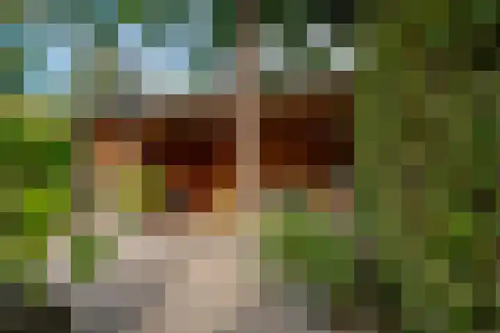 Esdoornstraat 18 Zevenaar thumbnail 32