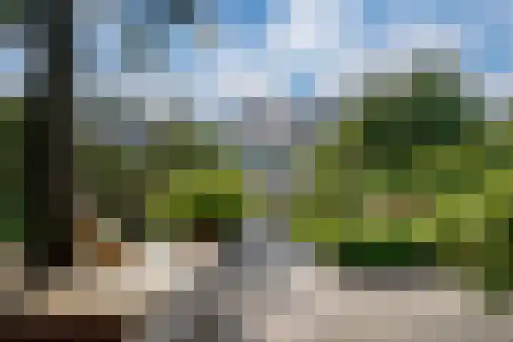 Esdoornstraat 18 Zevenaar thumbnail 4