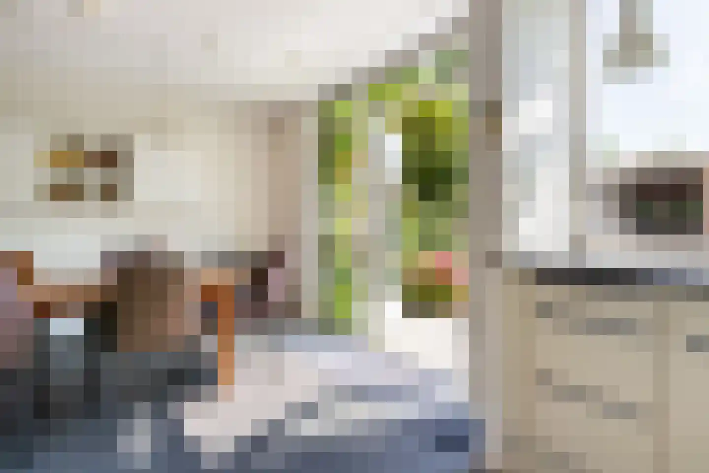 Esdoornstraat 19 Gouda thumbnail 30