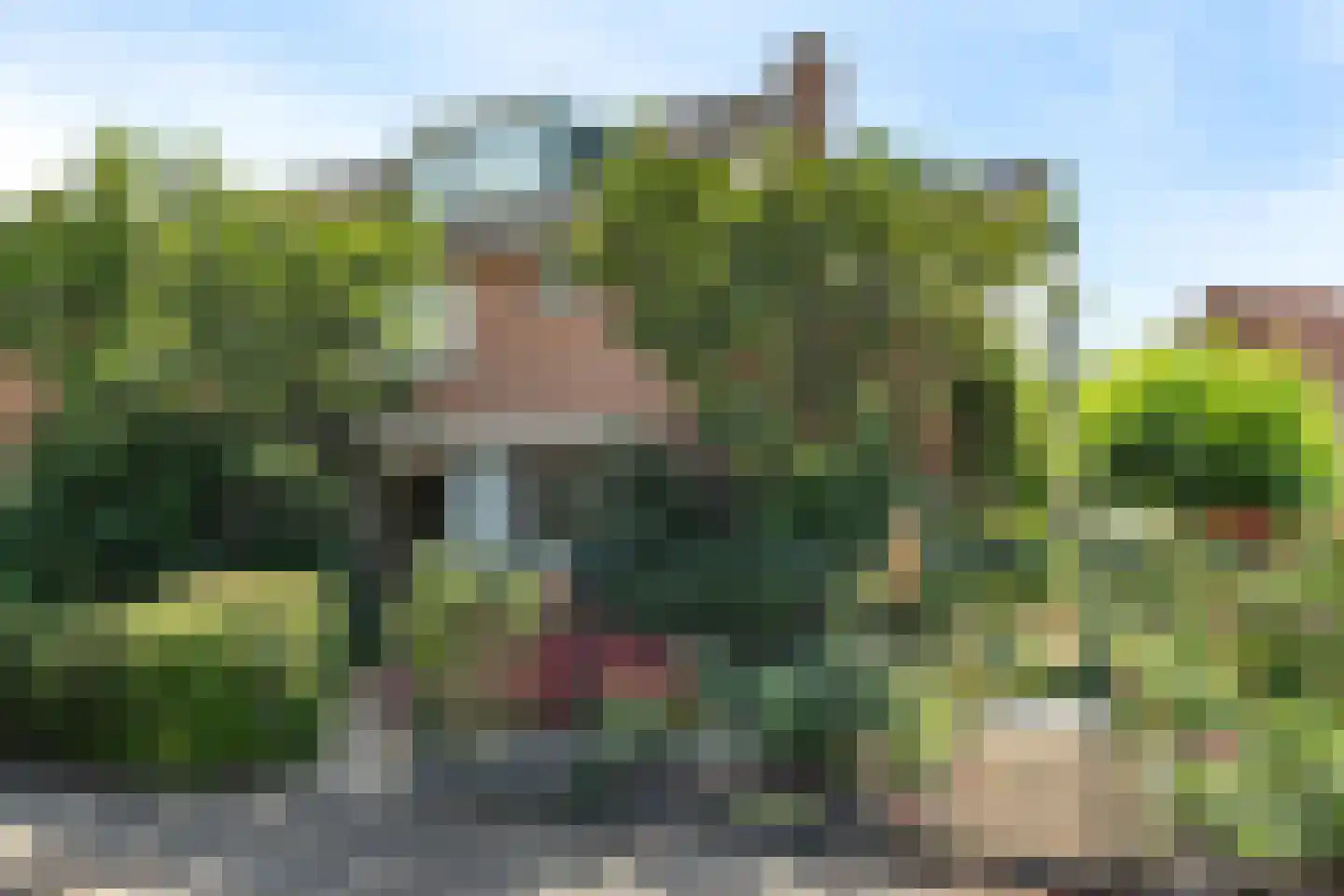 Esdoornstraat 19 Gouda thumbnail 5