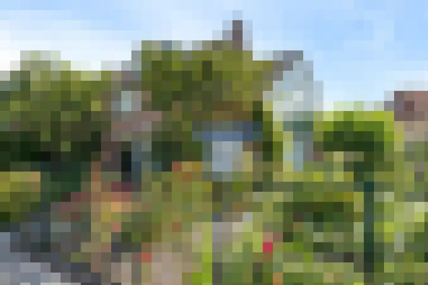 Esdoornstraat 19 Gouda thumbnail 6